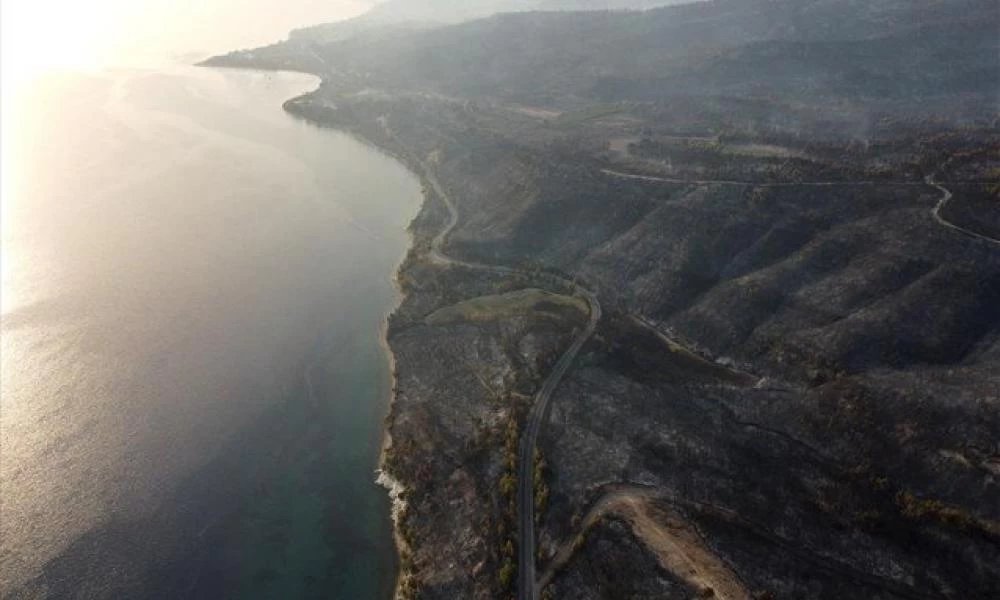 Εύβοια: Επιχορηγήσεις σε επιχειρήσεις που επλήγησαν από τις πυρκαγιές και την πανδημία